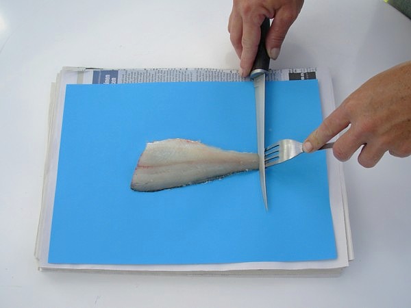 Am Ende Filets Fische häuten - Fischerforum.ch