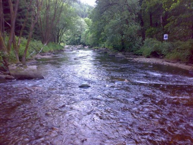 Bild