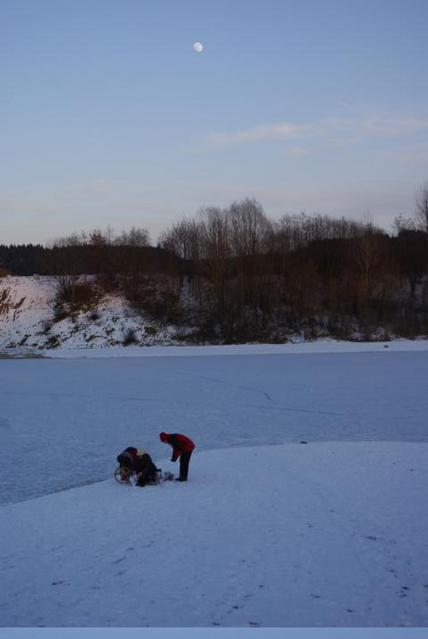 Bild