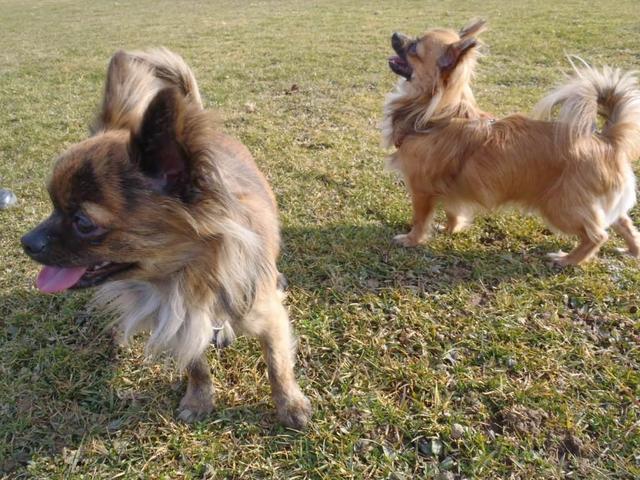Bild