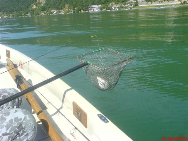 Bild