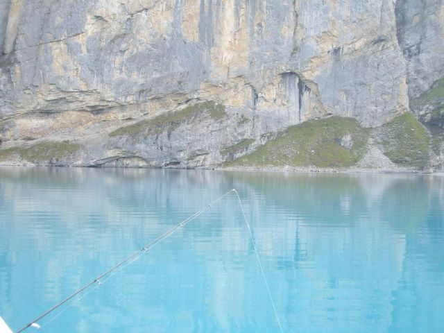 Bild