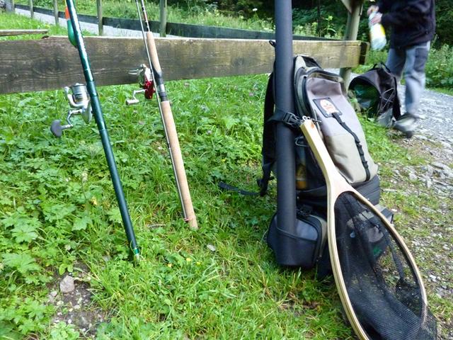 Bild