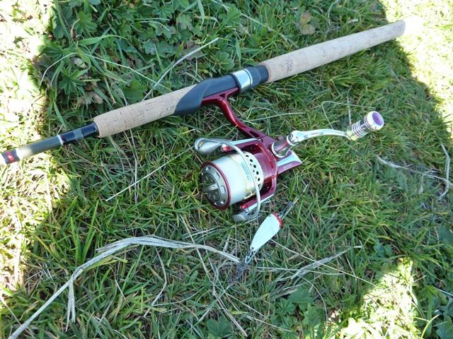 Bild