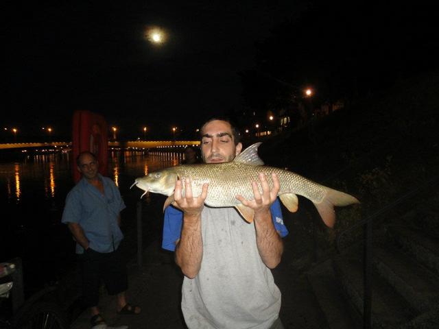 Fischen in Basel / Umgebung - Seite 2 - Fischerforum.ch