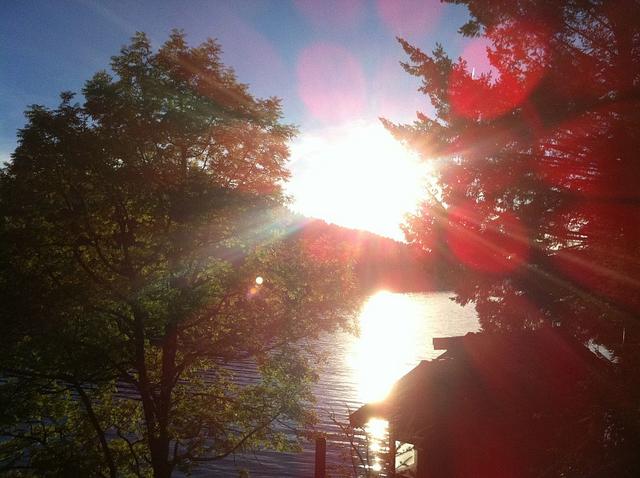 Bild