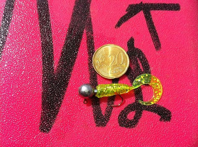 Bild
