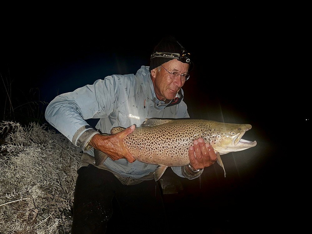12 24.3.9 Ro 12 lbs brown.jpg