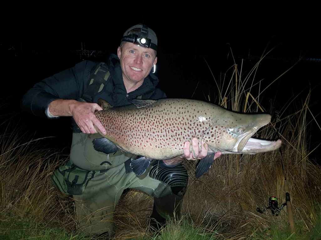 14  Patty 20 lbs brown.jpg
