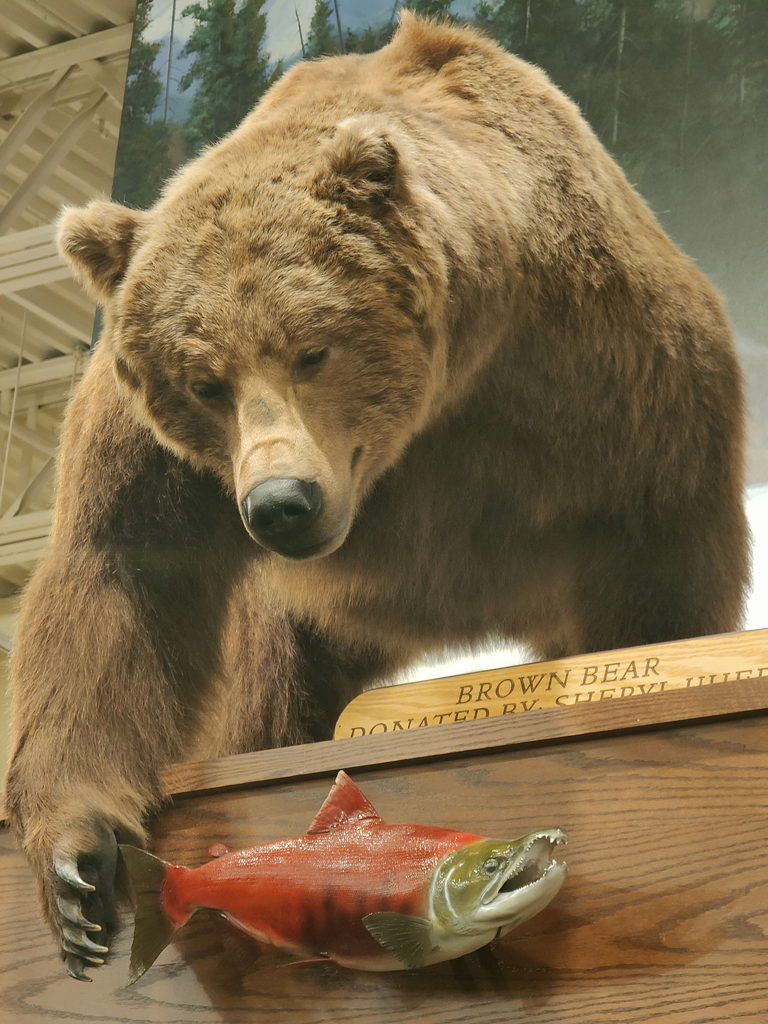 4 23.7.5 Cabelas Grizzly red.jpg