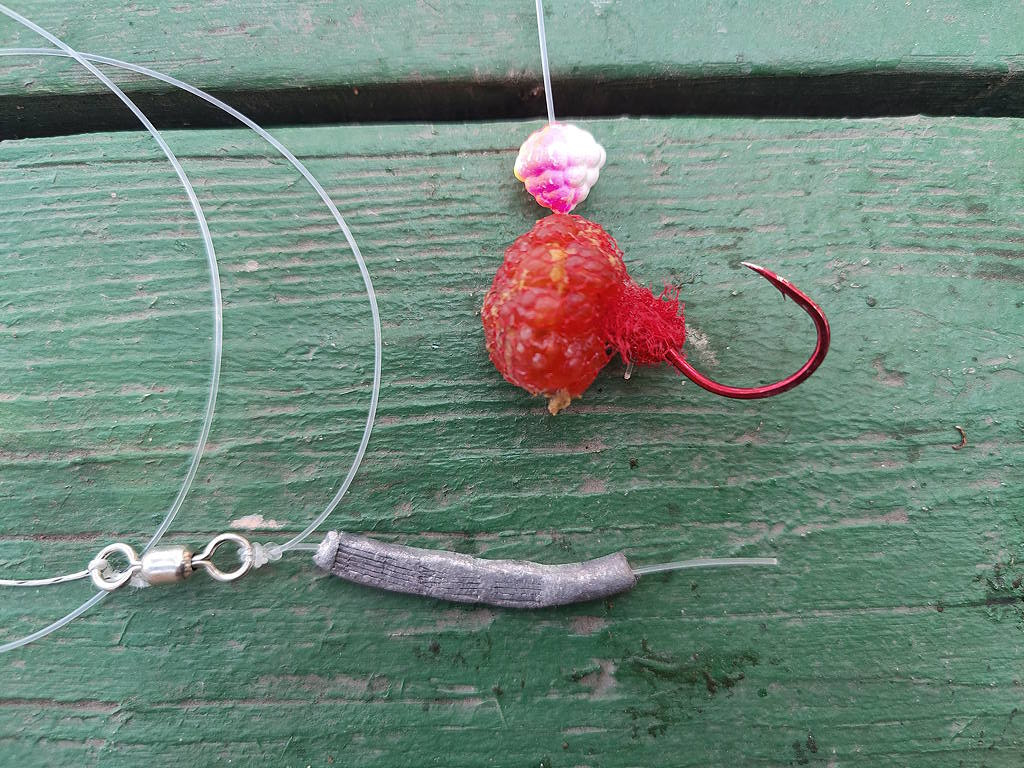 10 23.7.9 Egg Köder Kings Eric.jpg