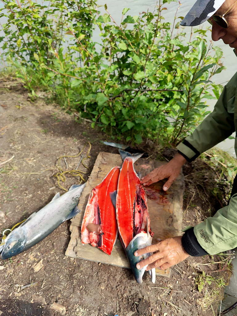 13 23.7.9 Ro Klutina reds filets.jpg