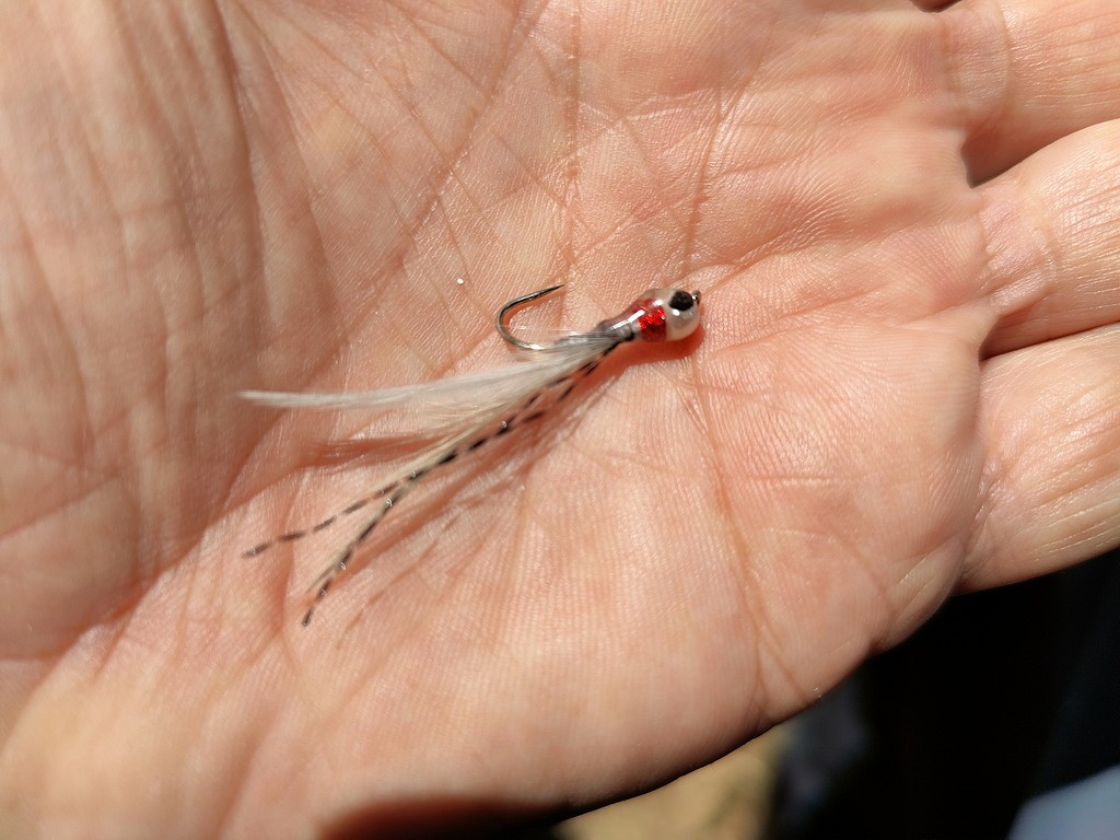 8 Smelt fly.jpg