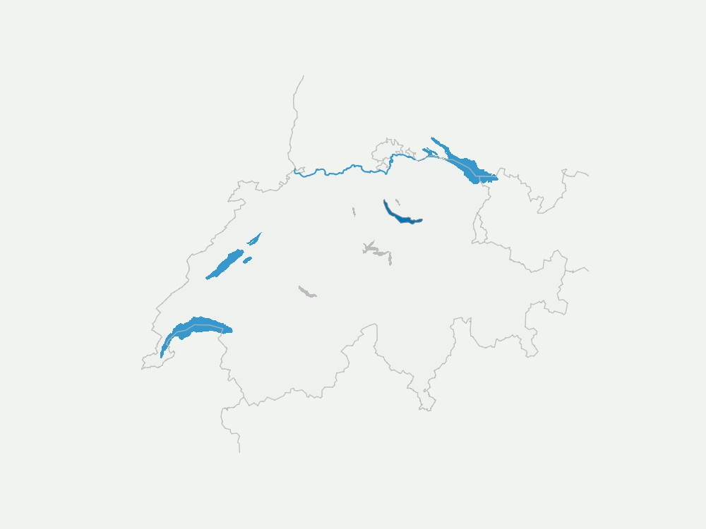 240904 Quaggamuschel 02.jpg